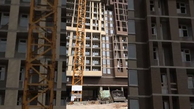 Что успели построить за месяц (Петрова 9)