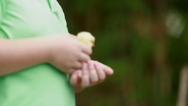 เรื่องเลอะ..เยอะเรียนรู้ by Breeze ตอน ลูกไก่ смотреть онлайн