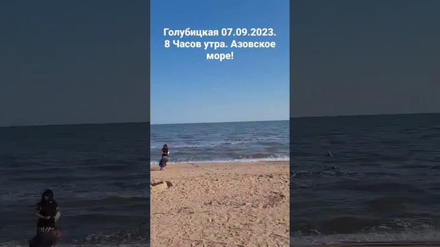 Голубицкая 07.09.2023. 8 Часов утра, погода, обстановка. Пляж Аль Маре