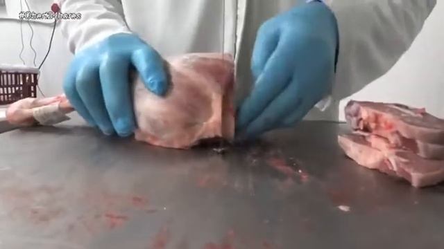 Pla dAbella de Navès