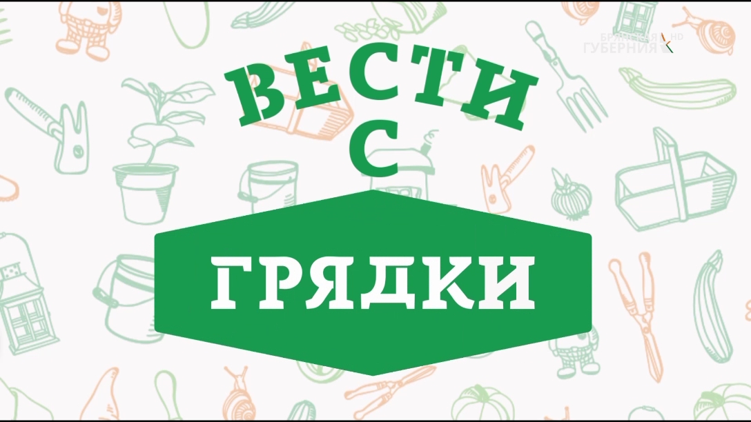 «Вести с грядки». Выпуск от 2 июня 2022 года