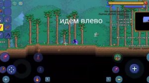 где найти браслет ветра и звериные когти в терарии на android