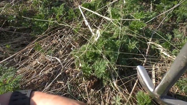 Как ориентироваться где стояли дома? Заехал на исчезнувшую деревню. смотреть онлайн