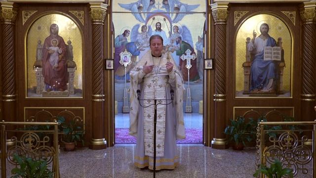 Лицемерие и подмена подлинной религиозности. Проповедь священника Димитрия Лушникова. смотреть онлайн