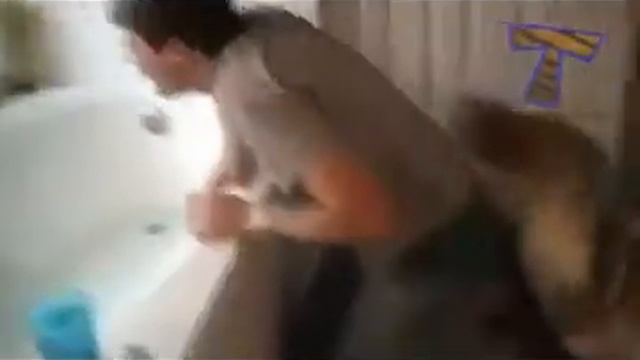 смешные коты в ваной смотреть онлайн