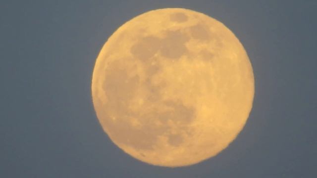 Полная Луна. Canon PowerShot SX50 HS. Тавричанка 05.02.2023 смотреть онлайн