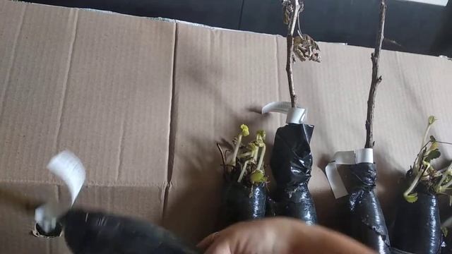 Abekker Распаковка смотреть онлайн