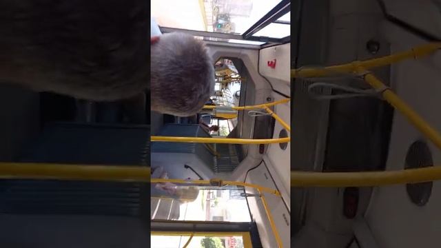 автобус Минска МАЗ 216 066 гос номер АТ 5999 маршрут 130 смотреть онлайн