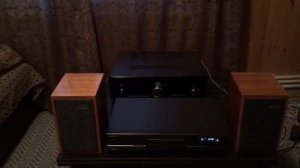 Акустика Beag, усилитель  Art Audio Lab на лампах  EL34.