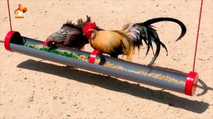 Кормушка курам из трубы на веревке