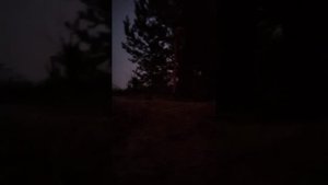 Магнитометр Гефест 4, 2 м на лопату.