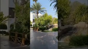 дубай марина бич резорт спа/ территория отеля