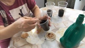 Выращивание абрикосов из косточек в средней полосе