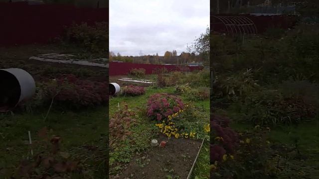 23 октября 2023 г. смотреть онлайн