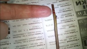 Из китайских семян выращиваем ДРЕВОВИДНЫЙ ПИОН (часть 2)