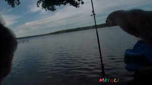 Турбаза Береста  Десногорск  Смоленск