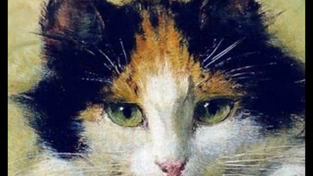 Кошечка смотреть онлайн