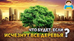 Что, если исчезнут все деревья? | Plushkin