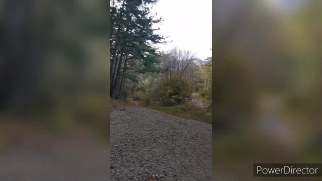 Путешествие по тропа Ялтинского горно-лесного заповедника смотреть онлайн