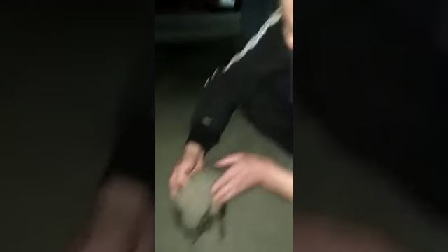 Дети нашли ёжика! В центре города! смотреть онлайн