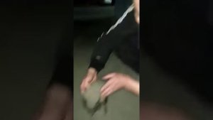 Дети нашли ёжика! В центре города!