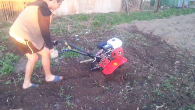 Мотоблок Workmaster мб 95