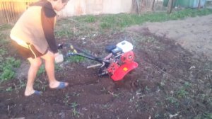 Мотоблок workmaster мб 95