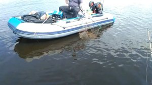 Иваньковское вдхр | Два сома | Судак активен