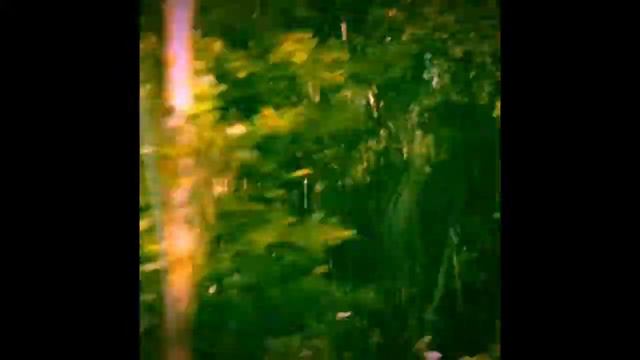 Vlog С Дачи смотреть онлайн