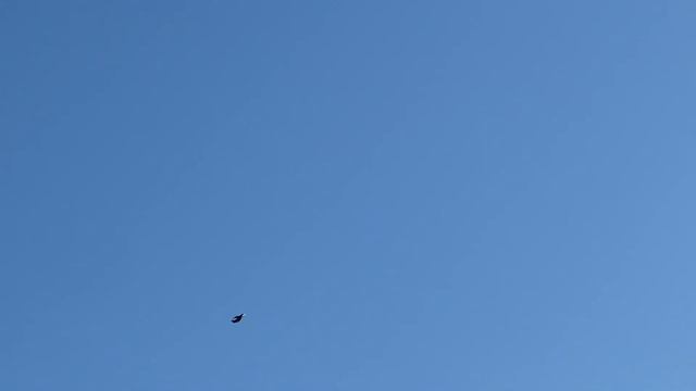 Калибри на посадке,соответствует своему имени!!!! смотреть онлайн