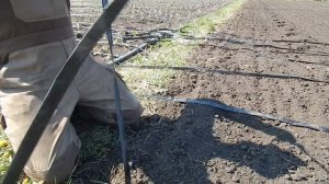 Капельный полив как быстро заглушить ленту.