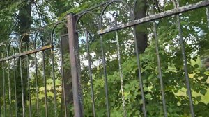 Пионерский лагерь 《Чайка》??