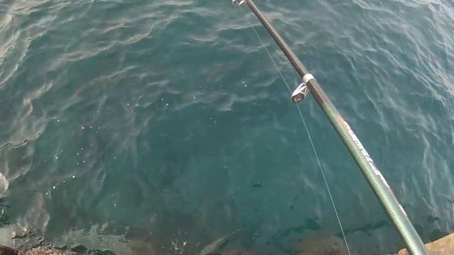 первая рыбалка на Канарских островах.First fishing on the Canary Islands.april 2013 смотреть онлайн