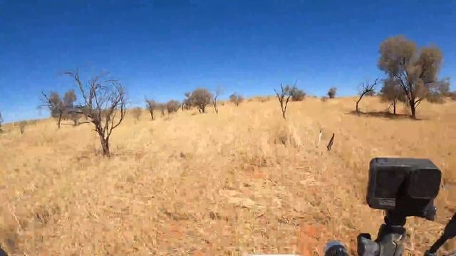 Riding KALAHARI DESERT DUNES on a CRF250L - Stage 3.