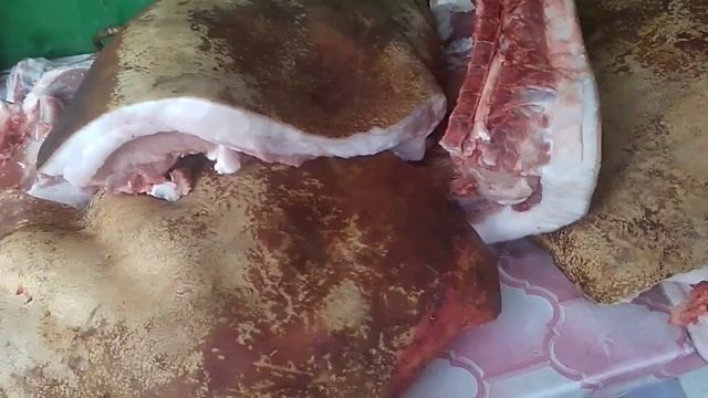 Режем пятимесячного поросёнка, забойный результат.