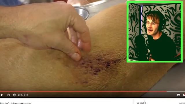 (WARNING GROSS) CURING MY TRYPOPHOBIA смотреть онлайн