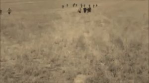 Сволочи  Маэстро