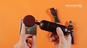 Обзор микрофона RITMIX RDM-230 USB Eloquence | Ситилинк