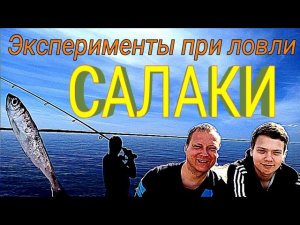 Салака в балтийском море / Рыбалка в рижском заливе