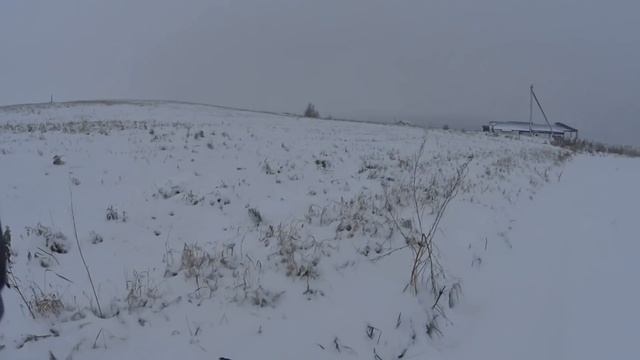 Охота на куропатку. Охота на куропаток осенью. Как всегда точные выстрелы