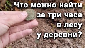 Что можно найти за три часа в лесу у деревни?