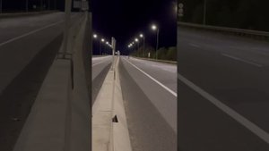 Хонда Хорнет 600