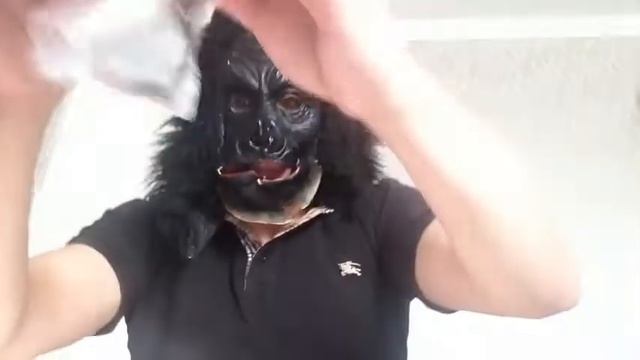 Песни паши техника слушать популярные