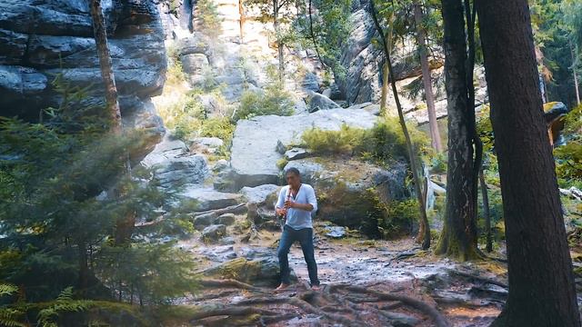 Alexandro Querevalú - Metasequoia смотреть онлайн