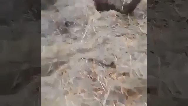 Конец ??