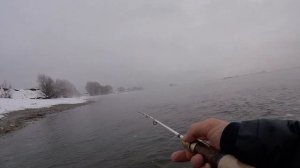 МОРМЫШИНГ В ДЕКАБРЕ! Я В ШОКЕ ОТ ТАКОЙ ПЛОТВЫ! #срыбалки #мормышинг