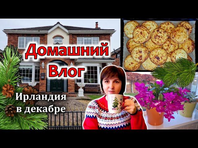 Ирландия / Холода / Шаньги с Картошкой / Как получит ваучер на €5 просто так