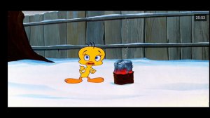 Мне показалось, я видел киску.