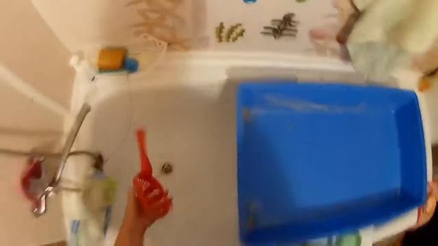 Уборка в клетке морской свинки смотреть онлайн