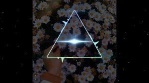 Я провожал тебя домой